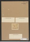 Hemiaulus exiguus Grev. (de-Toni-Nr.: Genus 117, Species 3372) Zeichnungen Sammlung Grunow Nr. 6784 (NHMW-BOT-W0375621)